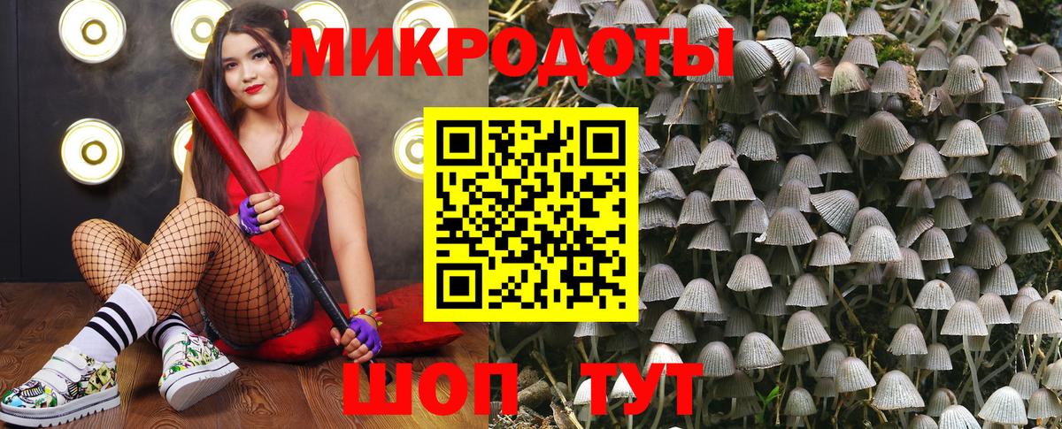 Псилоцибиновые грибы ЛСД Сургут
