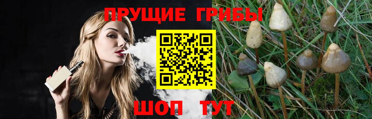 Псилоцибиновые грибы Psilocybe  Вход с VPN  Сургут 